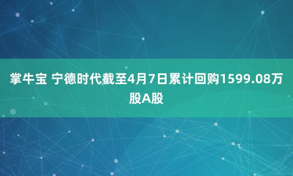 掌牛宝 宁德时代截至4月7日累计回购1599.08万股A股