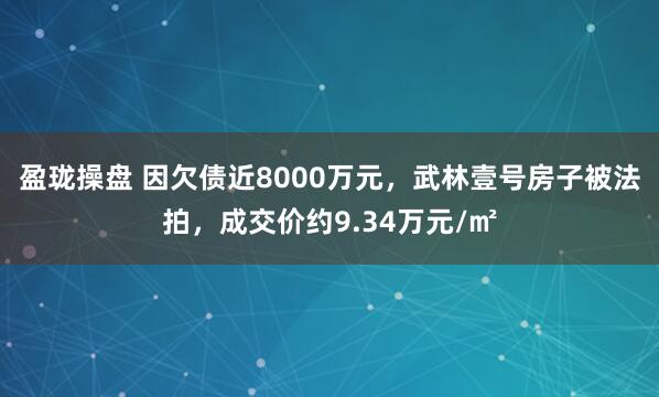 盈珑操盘 因欠债近8000万元，武林壹号房子被法拍，成交价约9.34万元/㎡